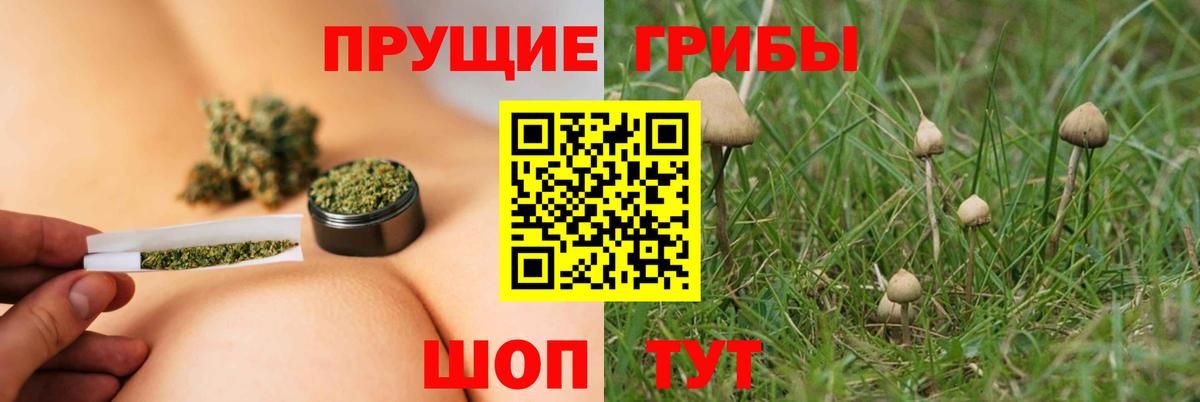 Галлюциногенные грибы Psilocybe  Вход с VPN  Галлюциногенные грибы Cubensis  Нурлат 